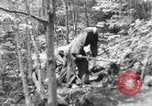 Image of Civilian Conservation Corps creating skiing and hiking trails New Hampshire United States USA, 1934, second 16 stock footage video 65675076411
