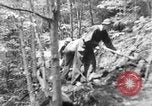 Image of Civilian Conservation Corps creating skiing and hiking trails New Hampshire United States USA, 1934, second 20 stock footage video 65675076411