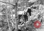 Image of Civilian Conservation Corps creating skiing and hiking trails New Hampshire United States USA, 1934, second 22 stock footage video 65675076411