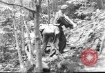 Image of Civilian Conservation Corps creating skiing and hiking trails New Hampshire United States USA, 1934, second 23 stock footage video 65675076411