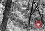 Image of Civilian Conservation Corps creating skiing and hiking trails New Hampshire United States USA, 1934, second 30 stock footage video 65675076411