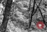 Image of Civilian Conservation Corps creating skiing and hiking trails New Hampshire United States USA, 1934, second 31 stock footage video 65675076411
