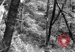 Image of Civilian Conservation Corps creating skiing and hiking trails New Hampshire United States USA, 1934, second 32 stock footage video 65675076411