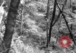 Image of Civilian Conservation Corps creating skiing and hiking trails New Hampshire United States USA, 1934, second 33 stock footage video 65675076411