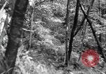 Image of Civilian Conservation Corps creating skiing and hiking trails New Hampshire United States USA, 1934, second 34 stock footage video 65675076411