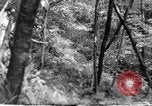 Image of Civilian Conservation Corps creating skiing and hiking trails New Hampshire United States USA, 1934, second 35 stock footage video 65675076411