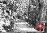 Image of Civilian Conservation Corps creating skiing and hiking trails New Hampshire United States USA, 1934, second 48 stock footage video 65675076411