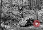 Image of Civilian Conservation Corps creating skiing and hiking trails New Hampshire United States USA, 1934, second 54 stock footage video 65675076411