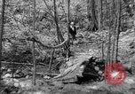 Image of Civilian Conservation Corps creating skiing and hiking trails New Hampshire United States USA, 1934, second 55 stock footage video 65675076411