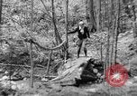 Image of Civilian Conservation Corps creating skiing and hiking trails New Hampshire United States USA, 1934, second 62 stock footage video 65675076411