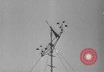 Image of Joint Hurricane Warning Service Miami Florida USA, 1951, second 33 stock footage video 65675076416