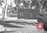 Image of WB-29A Superfortress Bermuda, 1951, second 1 stock footage video 65675076425