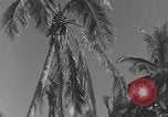 Image of WB-29A Superfortress Bermuda, 1951, second 3 stock footage video 65675076425