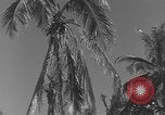 Image of WB-29A Superfortress Bermuda, 1951, second 4 stock footage video 65675076425