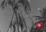 Image of WB-29A Superfortress Bermuda, 1951, second 5 stock footage video 65675076425