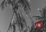 Image of WB-29A Superfortress Bermuda, 1951, second 6 stock footage video 65675076425