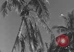 Image of WB-29A Superfortress Bermuda, 1951, second 7 stock footage video 65675076425