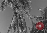 Image of WB-29A Superfortress Bermuda, 1951, second 9 stock footage video 65675076425