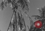 Image of WB-29A Superfortress Bermuda, 1951, second 10 stock footage video 65675076425