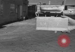 Image of hurricane warning flags Miami Florida USA, 1951, second 1 stock footage video 65675076427