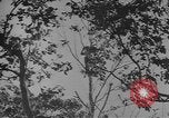 Image soldats des États-Unis la Birmanie, 1944, de la seconde 49 séquences d'archives historiques vidéo 65675076454