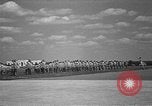 Image american flying cadets ne callisthénie avec des fusils Texas USA, 1940, de la seconde 13 séquences d'archives historiques vidéo 65675076481