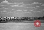 Image american flying cadets ne callisthénie avec des fusils Texas USA, 1940, de la seconde 21 séquences d'archives historiques vidéo 65675076481