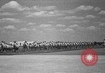 Image american flying cadets ne callisthénie avec des fusils Texas USA, 1940, de la seconde 22 séquences d'archives historiques vidéo 65675076481
