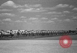 Image american flying cadets ne callisthénie avec des fusils Texas USA, 1940, de la seconde 24 séquences d'archives historiques vidéo 65675076481
