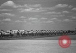 Image american flying cadets ne callisthénie avec des fusils Texas USA, 1940, de la seconde 26 séquences d'archives historiques vidéo 65675076481
