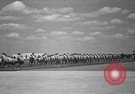 Image american flying cadets ne callisthénie avec des fusils Texas USA, 1940, de la seconde 29 séquences d'archives historiques vidéo 65675076481