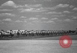 Image american flying cadets ne callisthénie avec des fusils Texas USA, 1940, de la seconde 30 séquences d'archives historiques vidéo 65675076481