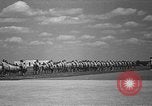 Image american flying cadets ne callisthénie avec des fusils Texas USA, 1940, de la seconde 32 séquences d'archives historiques vidéo 65675076481