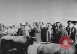 Image of surrender of Berbers Morocco North Africa, 1955, second 34 stock footage video 65675076486