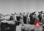 Image of surrender of Berbers Morocco North Africa, 1955, second 35 stock footage video 65675076486