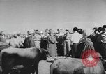 Image of surrender of Berbers Morocco North Africa, 1955, second 36 stock footage video 65675076486
