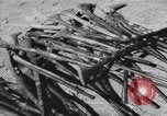 Image of surrender of Berbers Morocco North Africa, 1955, second 45 stock footage video 65675076486