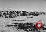 Image of surrender of Berbers Morocco North Africa, 1955, second 49 stock footage video 65675076486