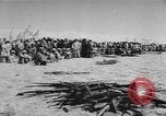 Image of surrender of Berbers Morocco North Africa, 1955, second 50 stock footage video 65675076486