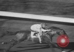 Image of horse racing championship Chicago Illinois USA, 1955, second 24 stock footage video 65675076488