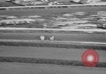 Image of horse racing championship Chicago Illinois USA, 1955, second 40 stock footage video 65675076488