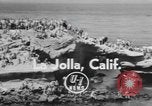 Image of 24th Annual La Jolla Rough Water Swim La Jolla California USA, 1955, second 3 stock footage video 65675076489
