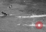 Image of 24th Annual La Jolla Rough Water Swim La Jolla California USA, 1955, second 23 stock footage video 65675076489