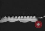 Standbild Ice Capades von 1956 Atlantic City New Jersey USA, 1955, aus Sekunde 7 historischem Filmmaterial Videoclip 65675076491