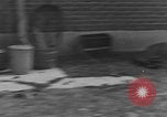 Image of crash landing Long Island New York USA, 1954, second 23 stock footage video 65675076493