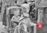 Image of American children Los Angeles California USA, 1954, second 6 stock footage video 65675076497