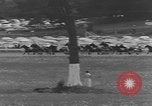 Standbild Hambletonian racing Goshen New York USA, 1954, aus Sekunde 40 historischem Filmmaterial Videoclip 65675076499