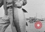 Immagine di Westport Salmon Derby Westport Washington USA, 1954, secondo 40 filmato di repertorio 65675076500