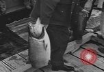Immagine di Westport Salmon Derby Westport Washington USA, 1954, secondo 42 filmato di repertorio 65675076500