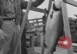 Immagine di Westport Salmon Derby Westport Washington USA, 1954, secondo 46 filmato di repertorio 65675076500
